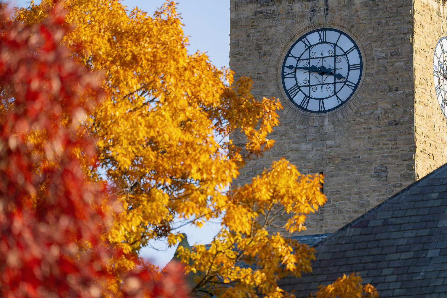 Brilliant Fall